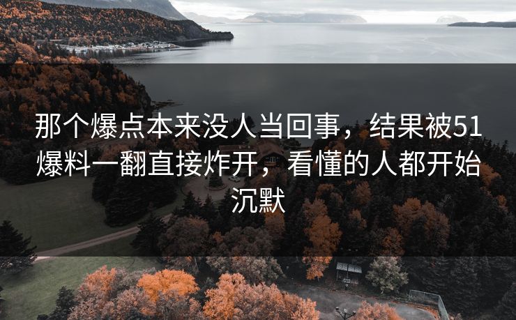 那个爆点本来没人当回事，结果被51爆料一翻直接炸开，看懂的人都开始沉默